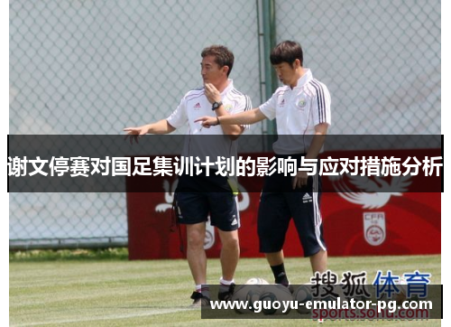 谢文停赛对国足集训计划的影响与应对措施分析