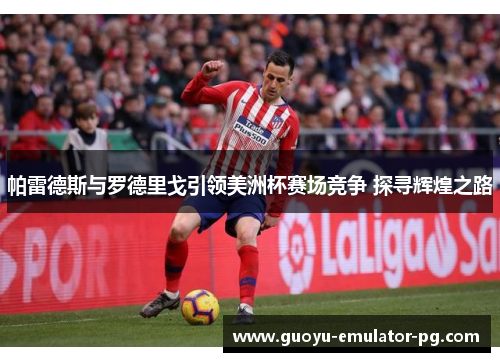 帕雷德斯与罗德里戈引领美洲杯赛场竞争 探寻辉煌之路