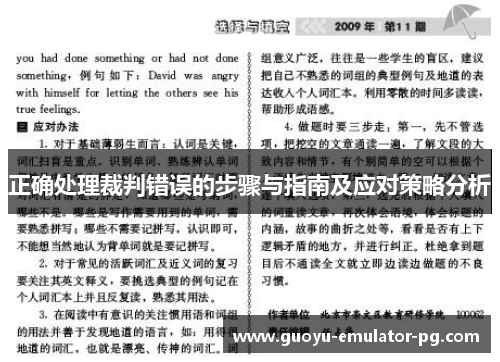 正确处理裁判错误的步骤与指南及应对策略分析